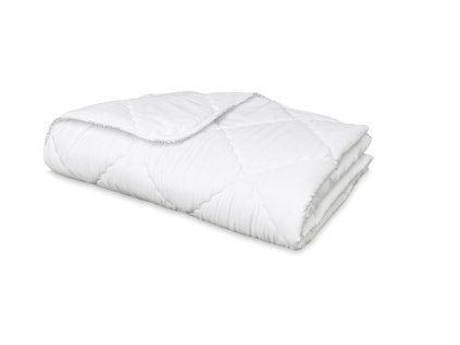 BT paplon silverline