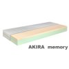 Akira memory