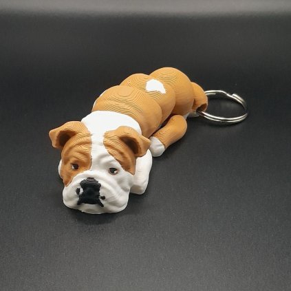 Anglický buldog (2)