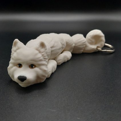 Samojed