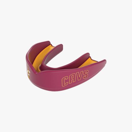 SD 8303 Cleveland Cavaliers
