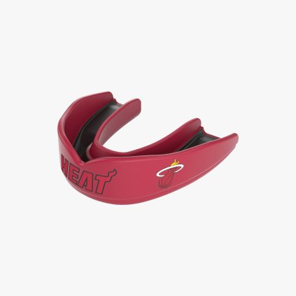 SD 8306 Miami Heat