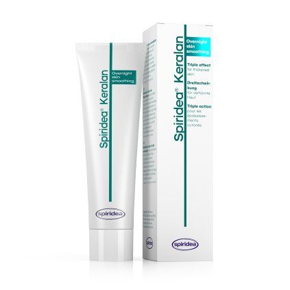 Keralan Redizajn Render HALF