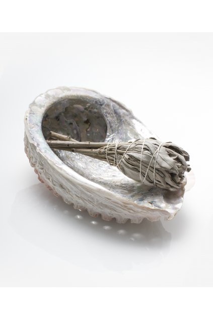 Abalone mušle - přírodní kadidelnice - malá