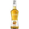Monin Liqueur de Orange Curacao 24% 0,7l