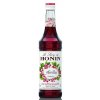 Monin Airelle 0,7l