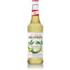 Monin Banane 1l