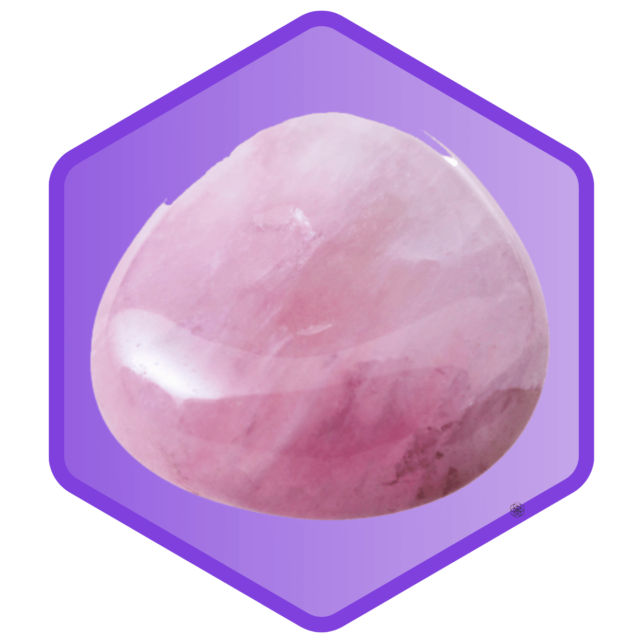 Obrázek růženínu