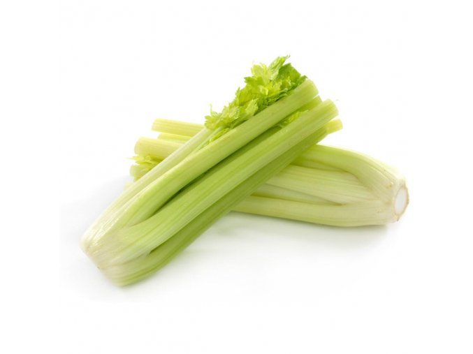 rapikaty celer