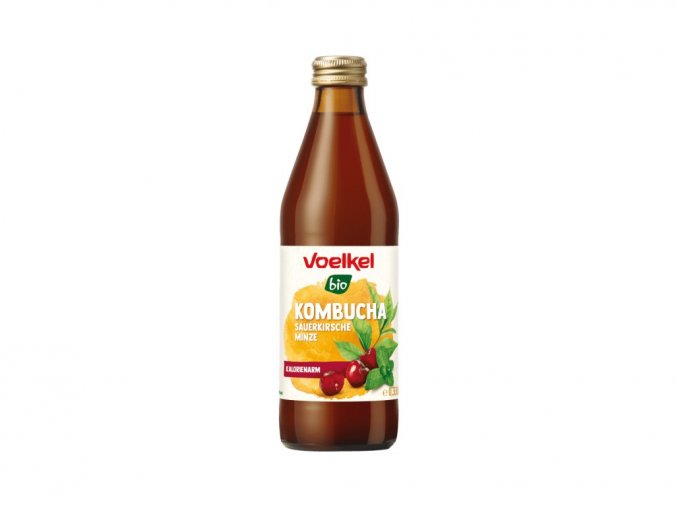 kombucha visen mata