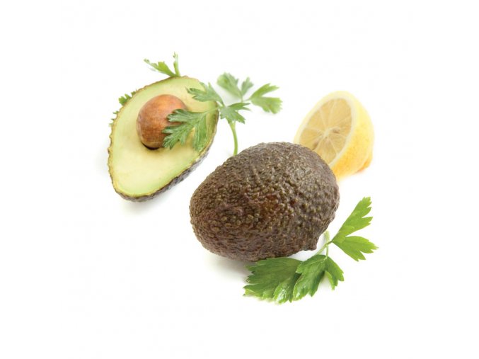 avocado haas