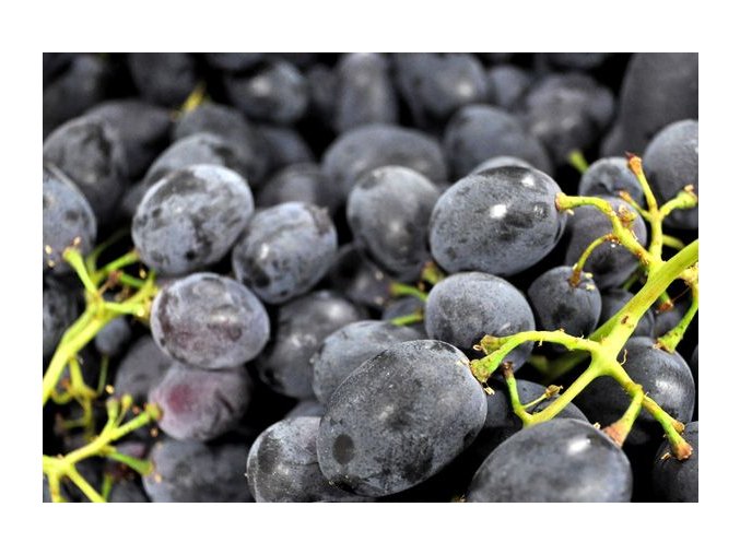 hroznove vino black magic