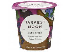 Kokosovy jogurt s bobulovinami