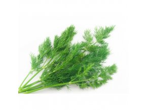 kopr svazek