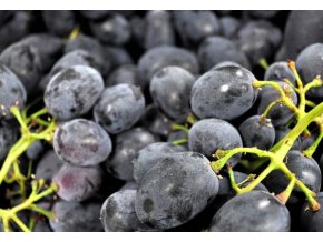 hroznove vino black magic
