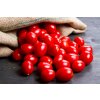 Datteltomaten