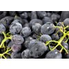 hroznove vino black magic