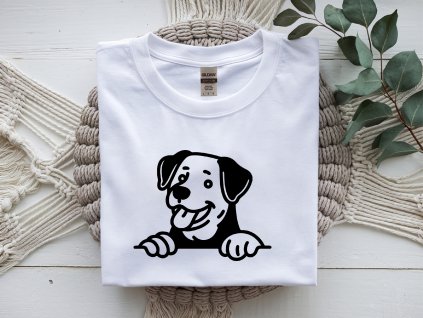 Nažehlovačka pejsek