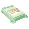 3491 2 deka pro miminko 548 zelena 80 x 110 cm