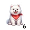 Samoyed