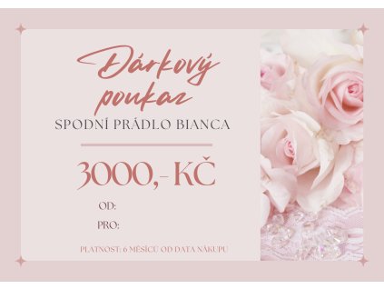 Elektronický dárkový poukaz 3000,- Kč