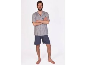 stažený soubor (1)