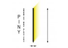 Piny Duo-Fast