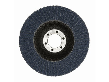 Kotúč lamelový 125x22mm Mamut 628e T29 Z40