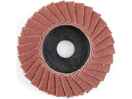 Kotúč lamelový P100/50 mm