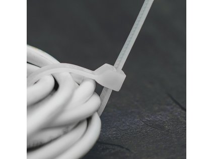 Páska viazacia 120x2,5 mm biela 100 ks TS1025120N