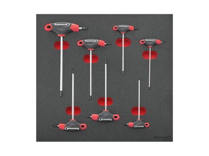 Modul pre nástroje 2/3 T-rukovät Torx s bočným pohonom Format