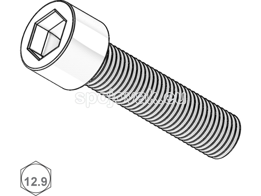 Šroub s VH, INBUS, St; 12.9; M 16 x 30_1