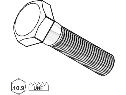 Šroub palcový UNF, 6HR, ČZ, St; GR.8; 1/2" x 2 1/2"_1