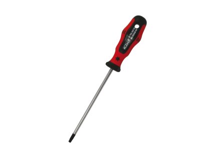 4CZech Šroubovák torx; TRX20 x 100 mm_1