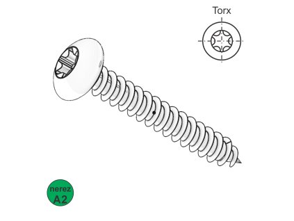 Vrut s půlkulatou hlavou, TORX, A2; 4 x 40_1