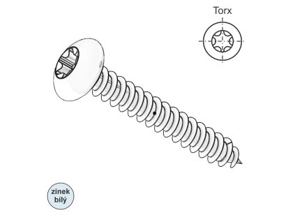 Vrut s půlkulatou hlavou, TORX, ZB; 4 x 40_1