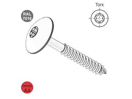 Vrut do dřeva s VH, A4, T20; 5,5 x 35/22, RAL 7016 (antracit)_1