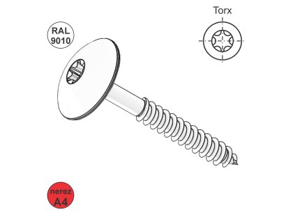 Vrut do dřeva s VH, A4, T20; 5,5 x 35/22, RAL 9010 (bílá)_1