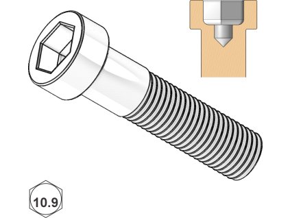 Šroub s VH a střed. otv., INBUS, St; 10.9; M 5 x 20_1