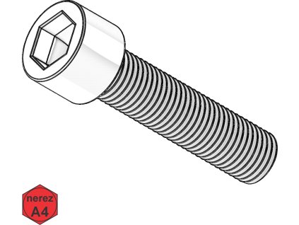 Šroub s VH, INBUS, A4; M 10 x 130_1