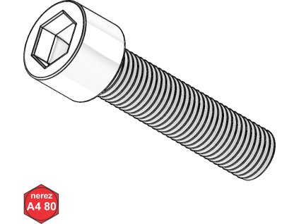 Šroub s VH, INBUS, A4-80; M 10 x 30_1