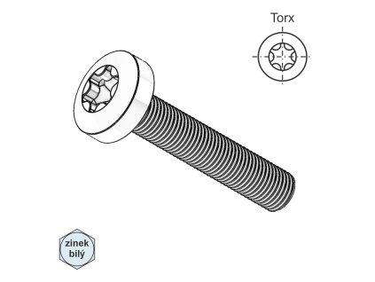 Šroub s PH, torx, ZB; M 6 x 50_1