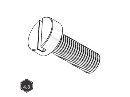 Šroub s VH a drážkou, St; M 6 x 10_1