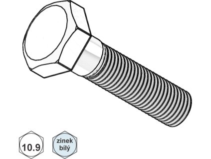 Šroub metrický, 6HR, ČZ, ZB; 10.9; M 8 x 100_1