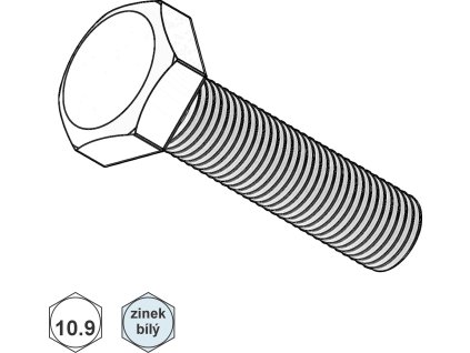Šroub metrický, 6HR, ZB; 10.9; M 14 x 100_1