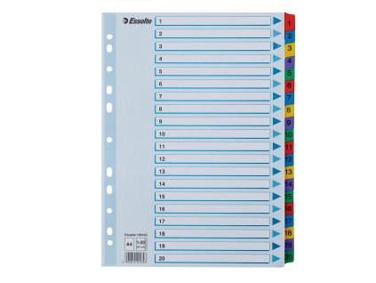 Screenshot 2025 06 13 at 08 06 51 Esselte Register Mylar A4 1 20 Flerfarg Billig