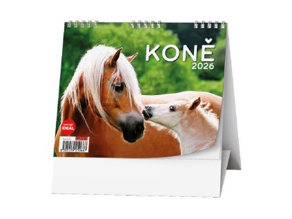 32a0c91ea65c42cca82c778417a0faad