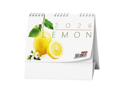 598c5dba1461af7dc2d91deea9756668