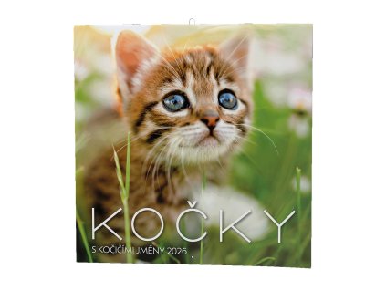 1aad311c859ea4ecd9dd81bbb635a3ed