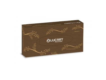 lucart econatural vytahovaci kapesnicky prirodni 2 vrstve 100 ks